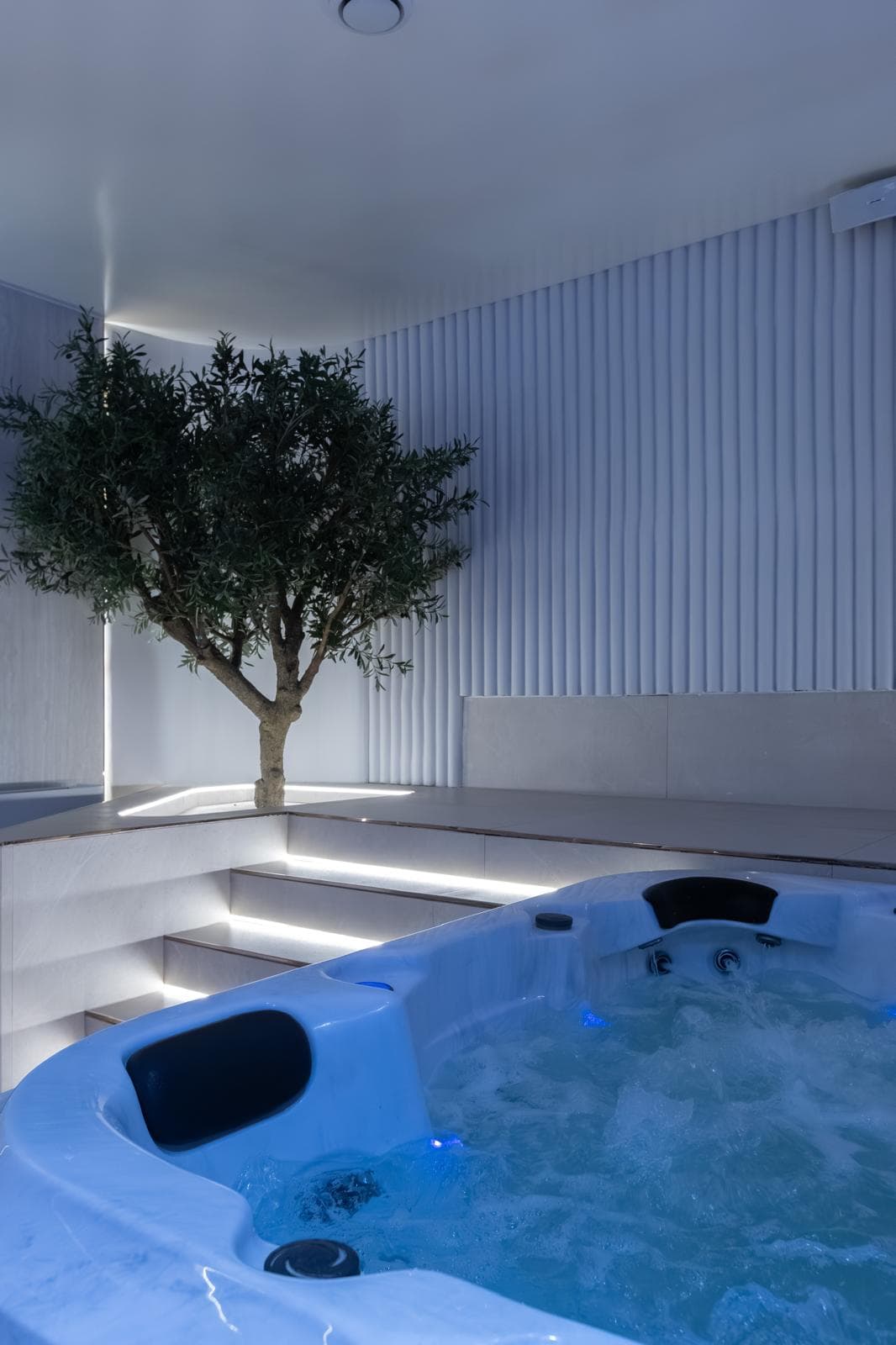 Jacuzzi and relaxation area